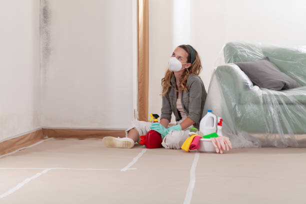 Reliable Mold Remediation contractor in Port Ludlow, WA by WQB Mold Removal